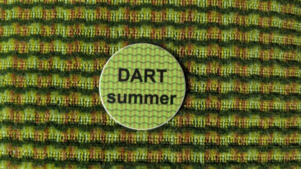 DART Summer - Image 4
