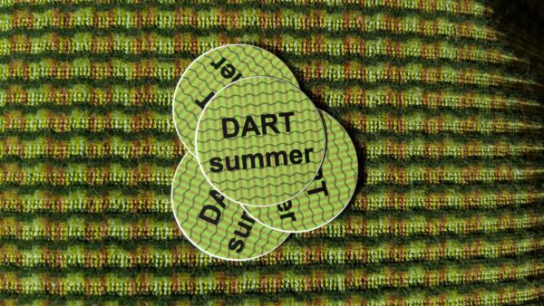 DART Summer - Image 5