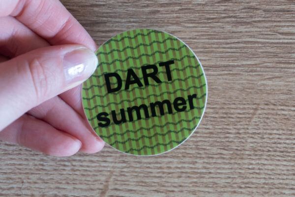 DART Summer - Image 3