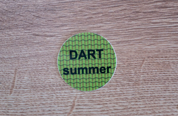 DART Summer - Image 2